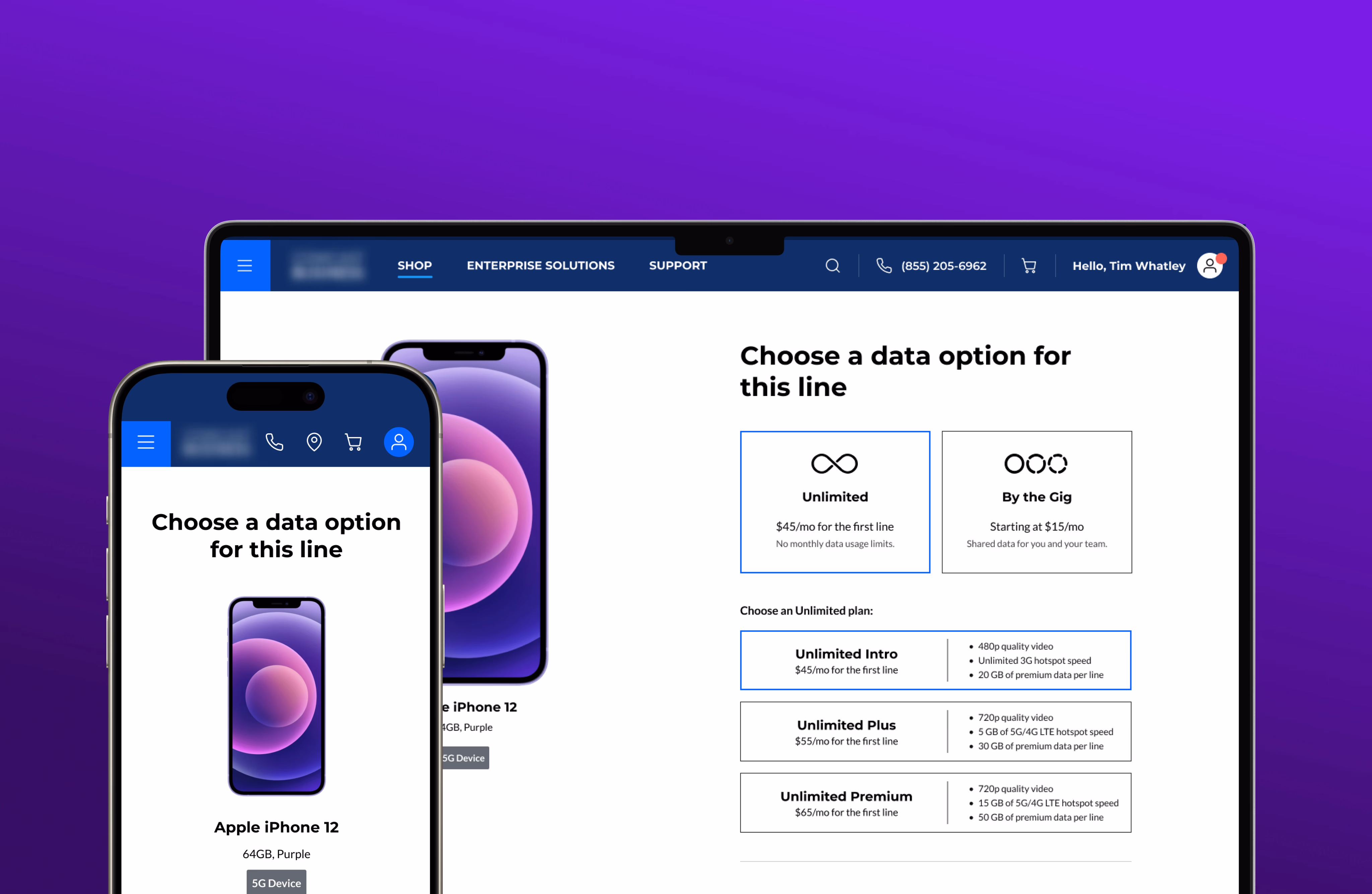Project preview